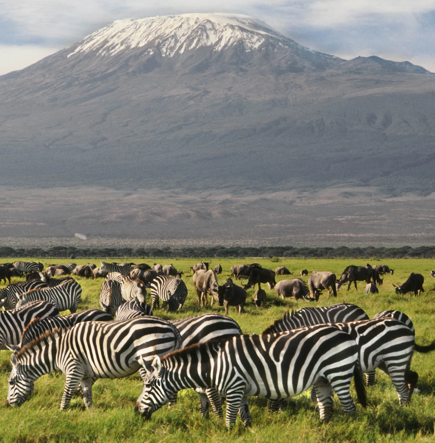 amboseli-national-park-1