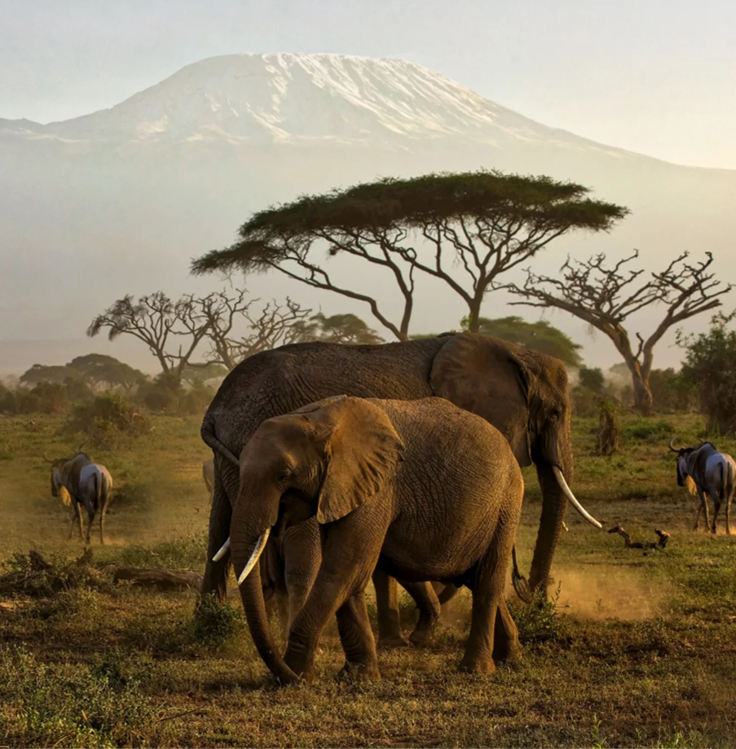 amboseli-national-park-2