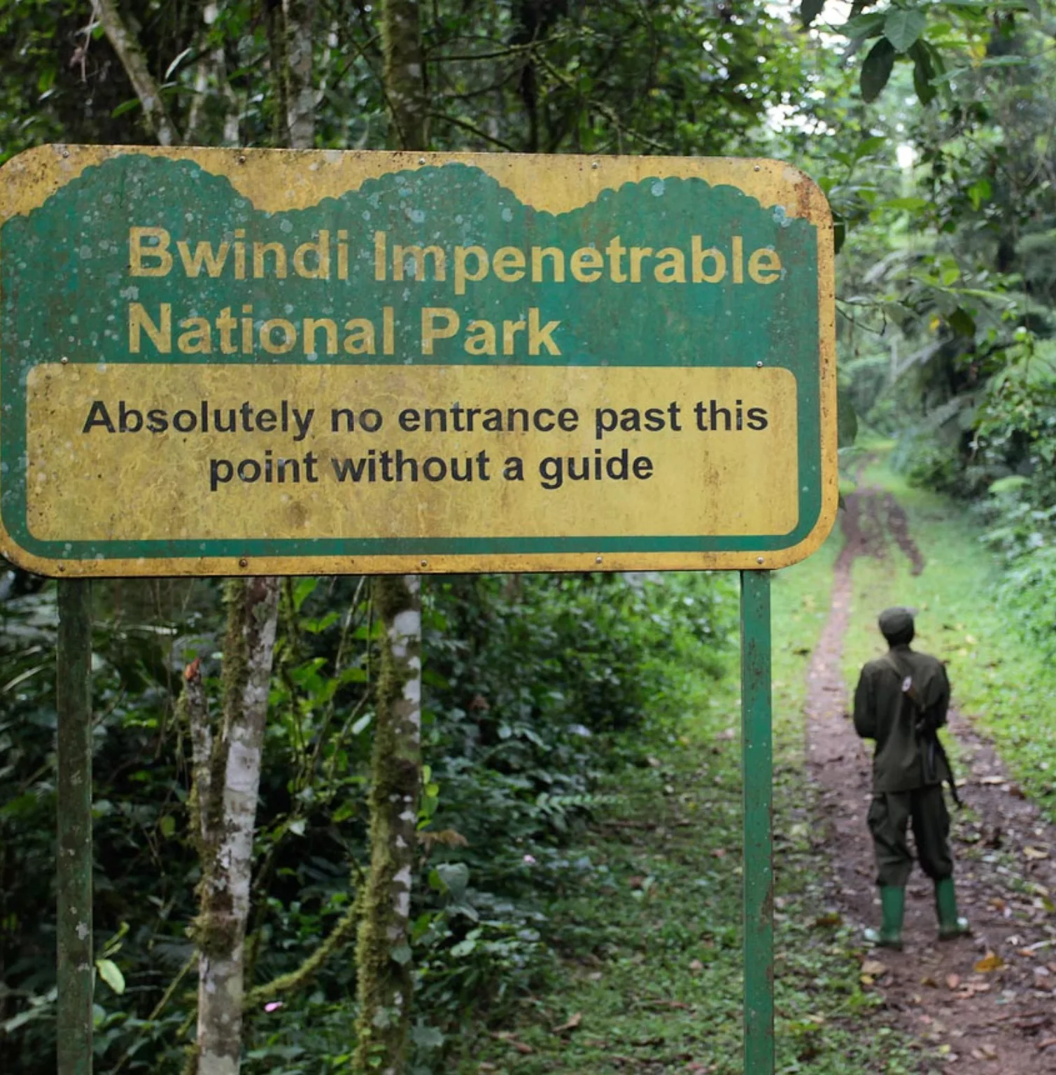 bwindi-impenetrable-national-park-3