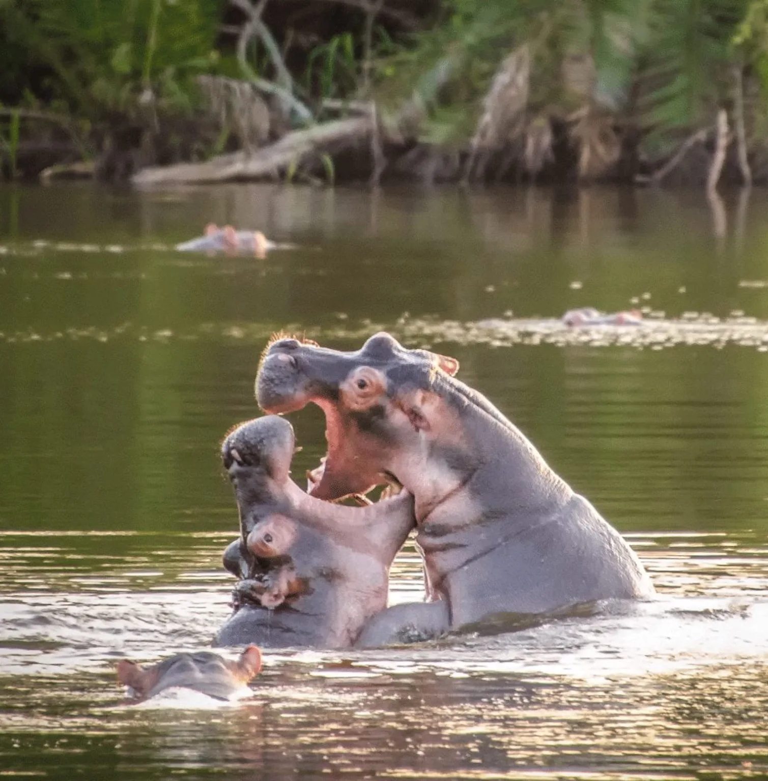 lake-mburo-national-park-3