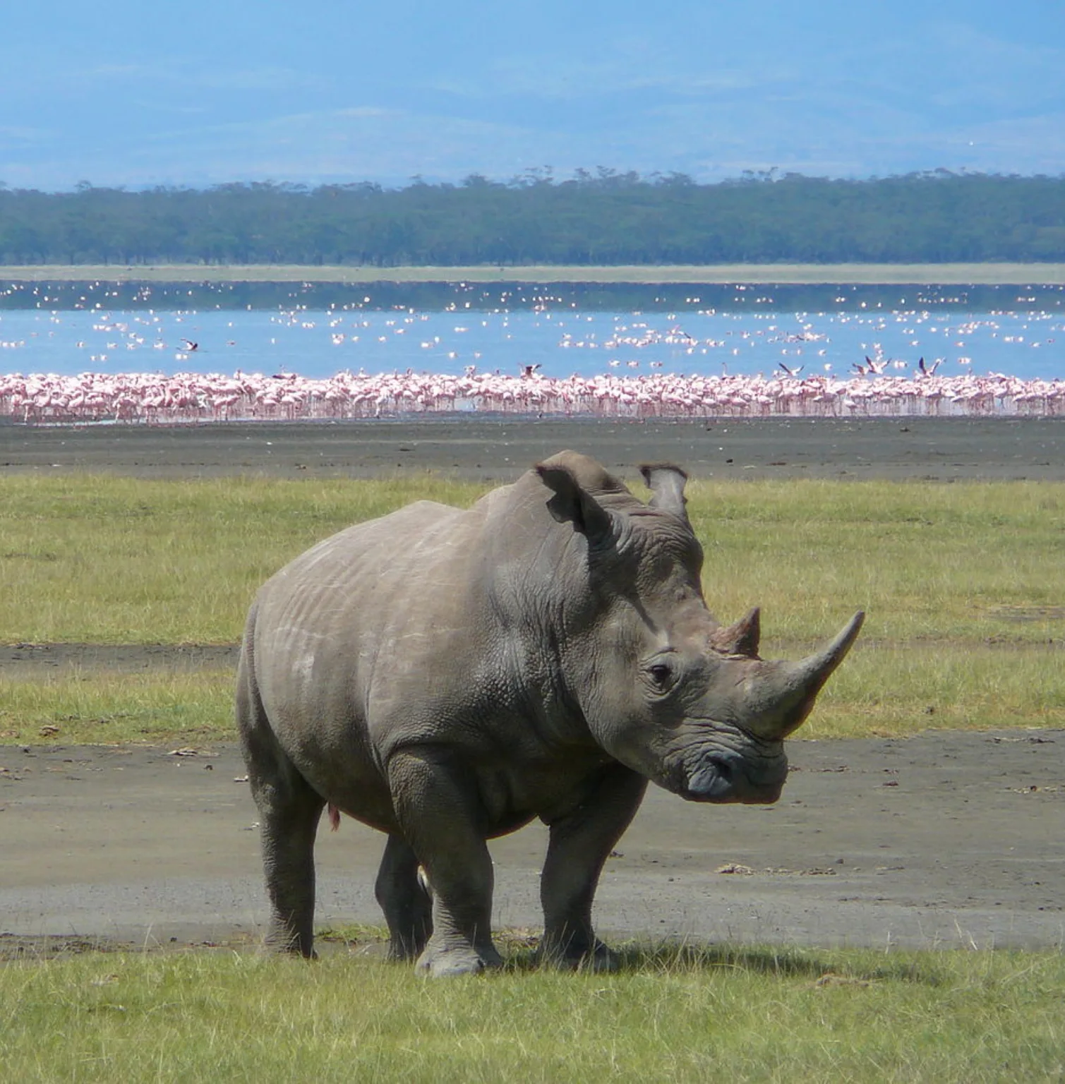 lake-nakuru-national-park-3