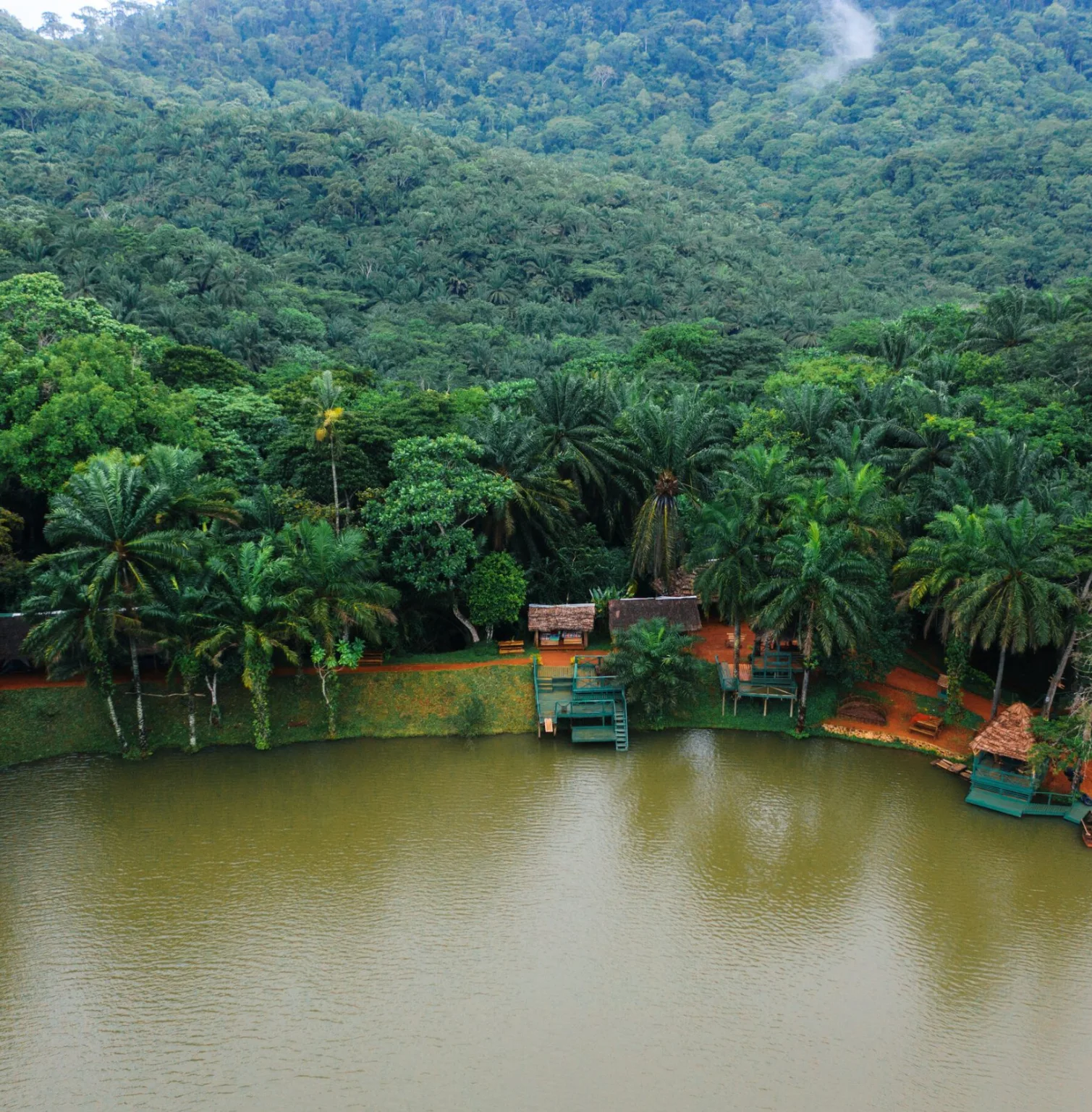 magoroto-forest-3