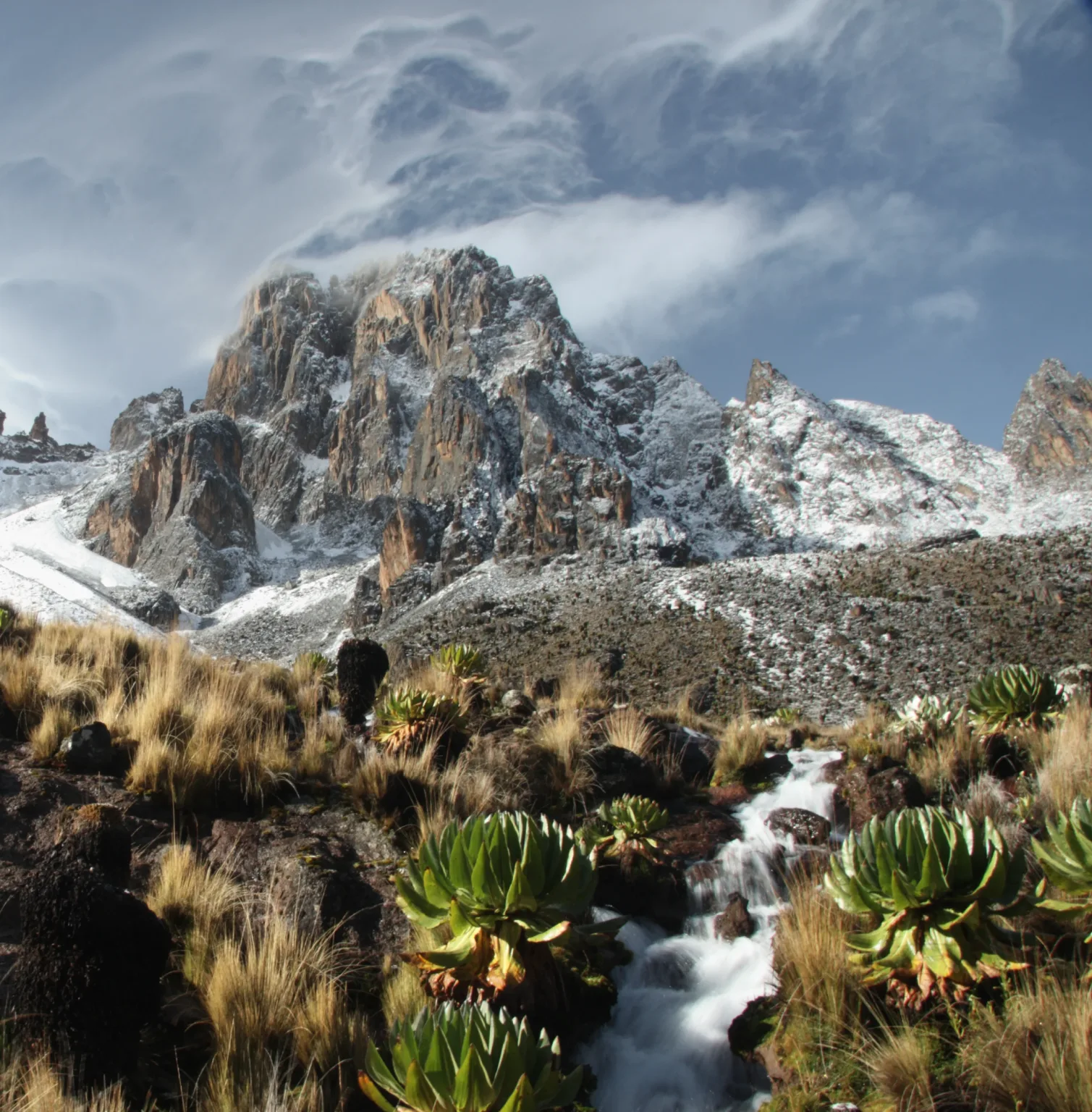 mount-kenya-national-park-1