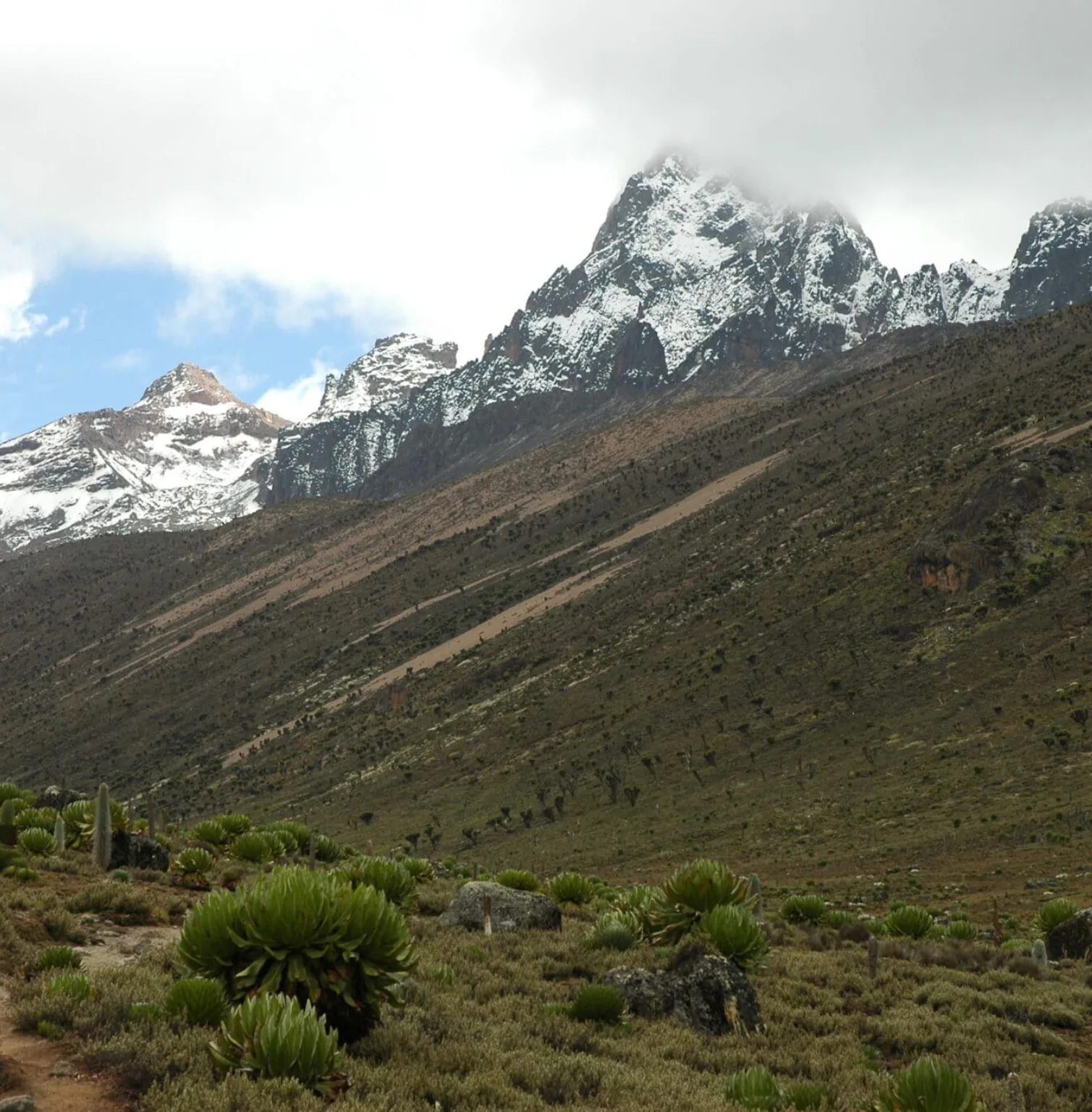 mount-kenya-national-park-3