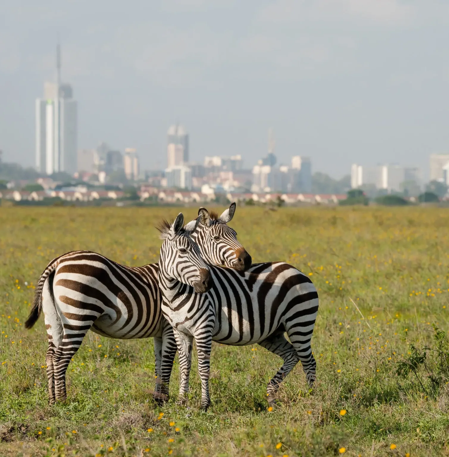 nairobi-2