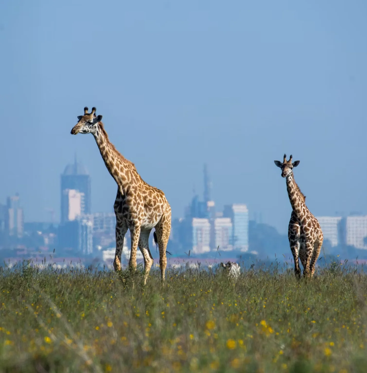 nairobi-3