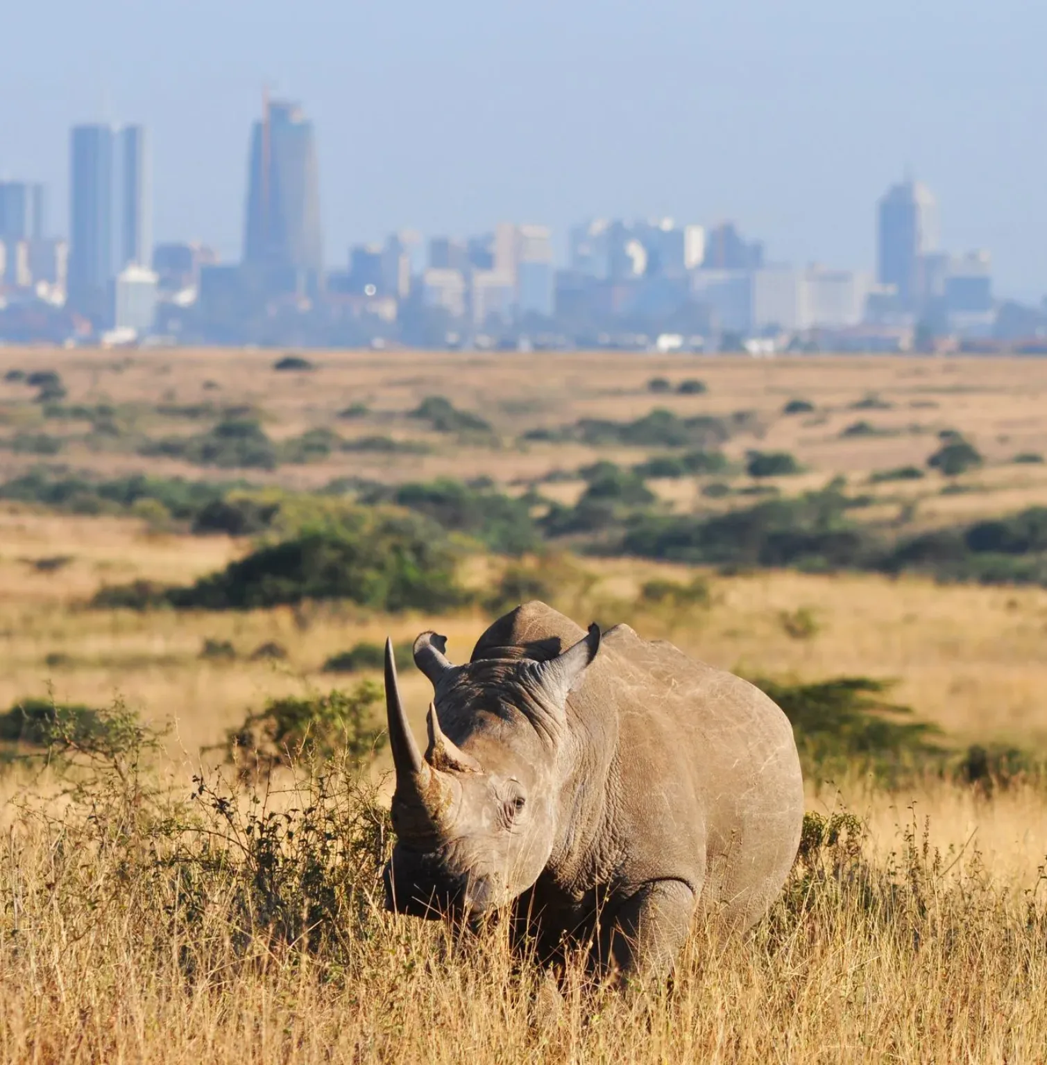 nairobi-4