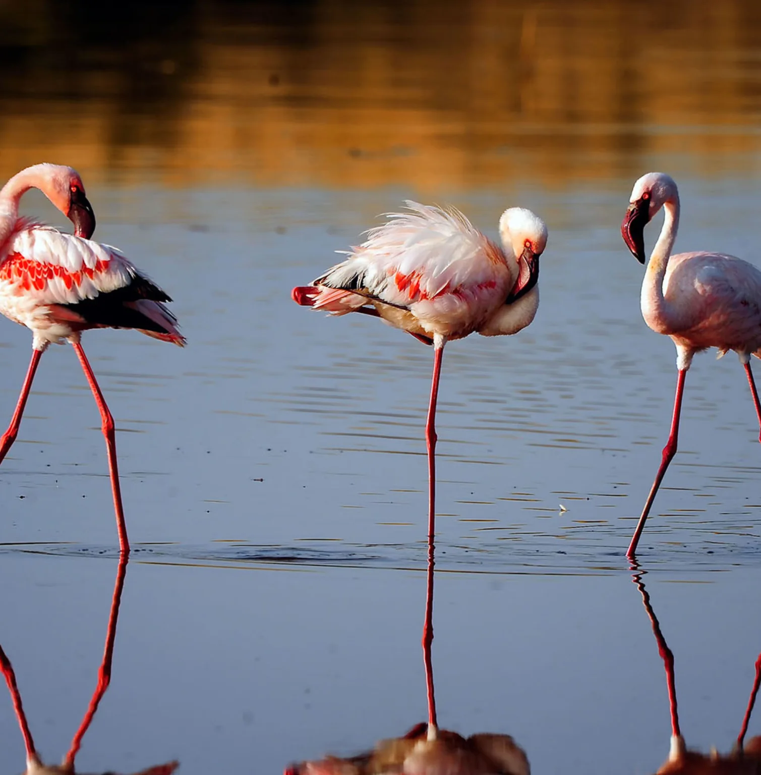 ngorongoro-crater-1