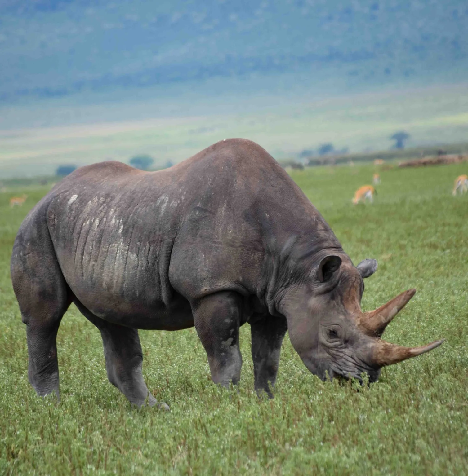 ngorongoro-crater-3