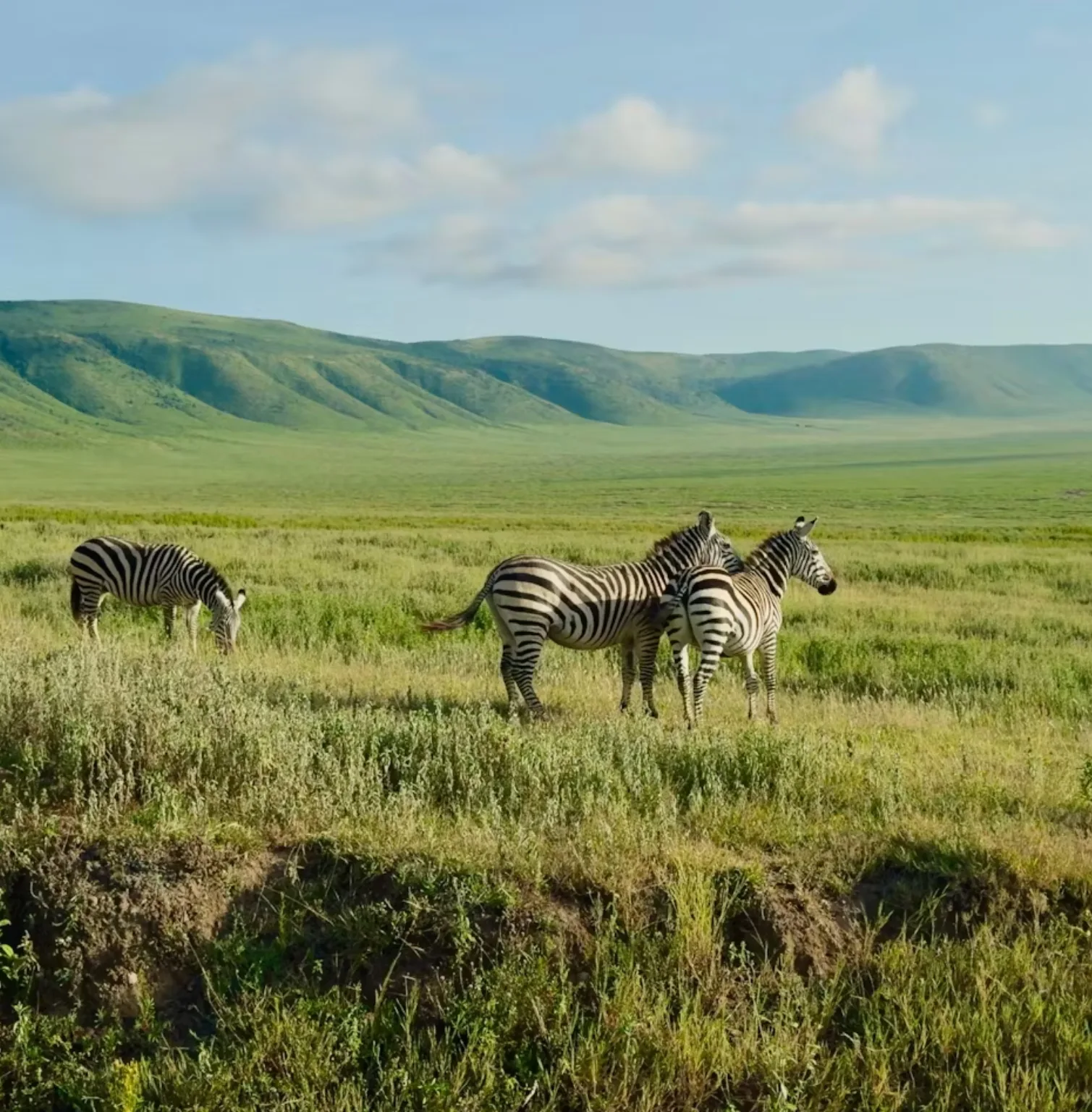 ngorongoro-crater-4