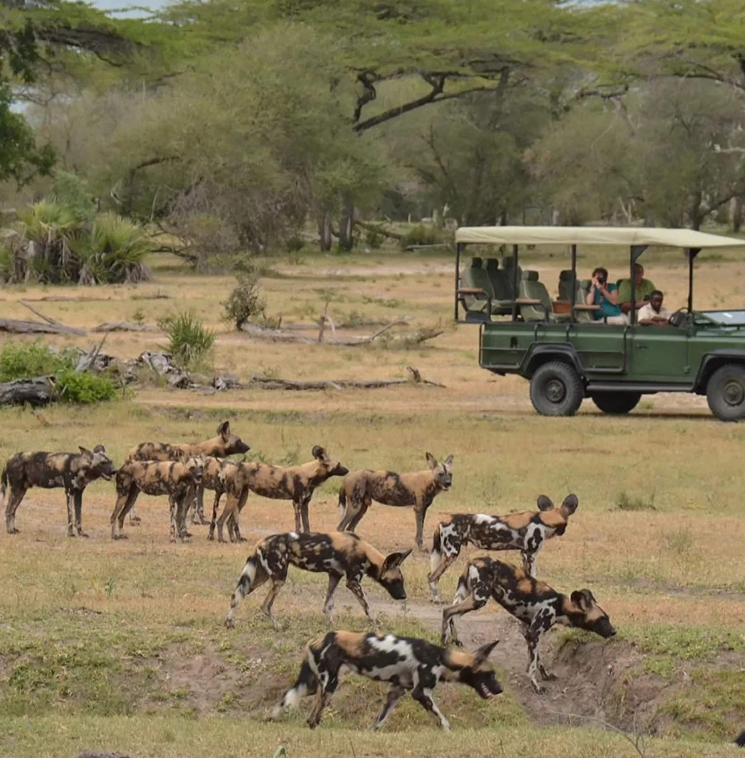 nyerere-national-park-1