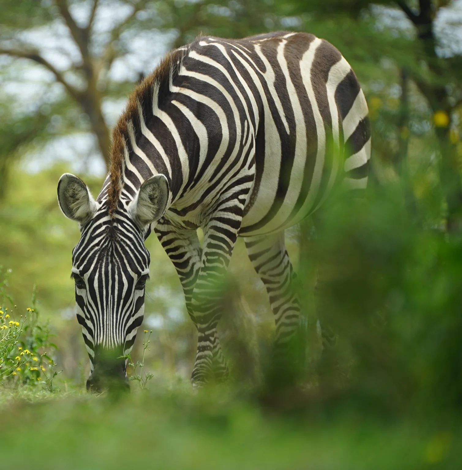 nyerere-national-park-2