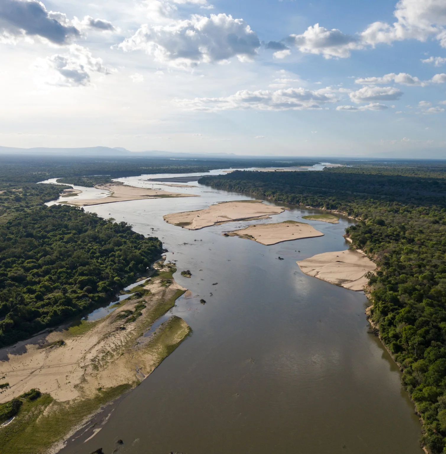 nyerere-national-park-4