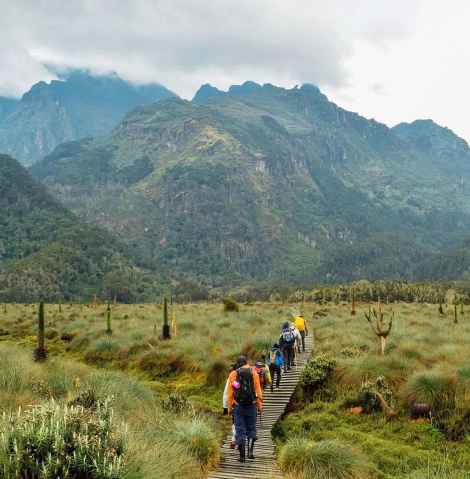 rwenzori-mountains-1