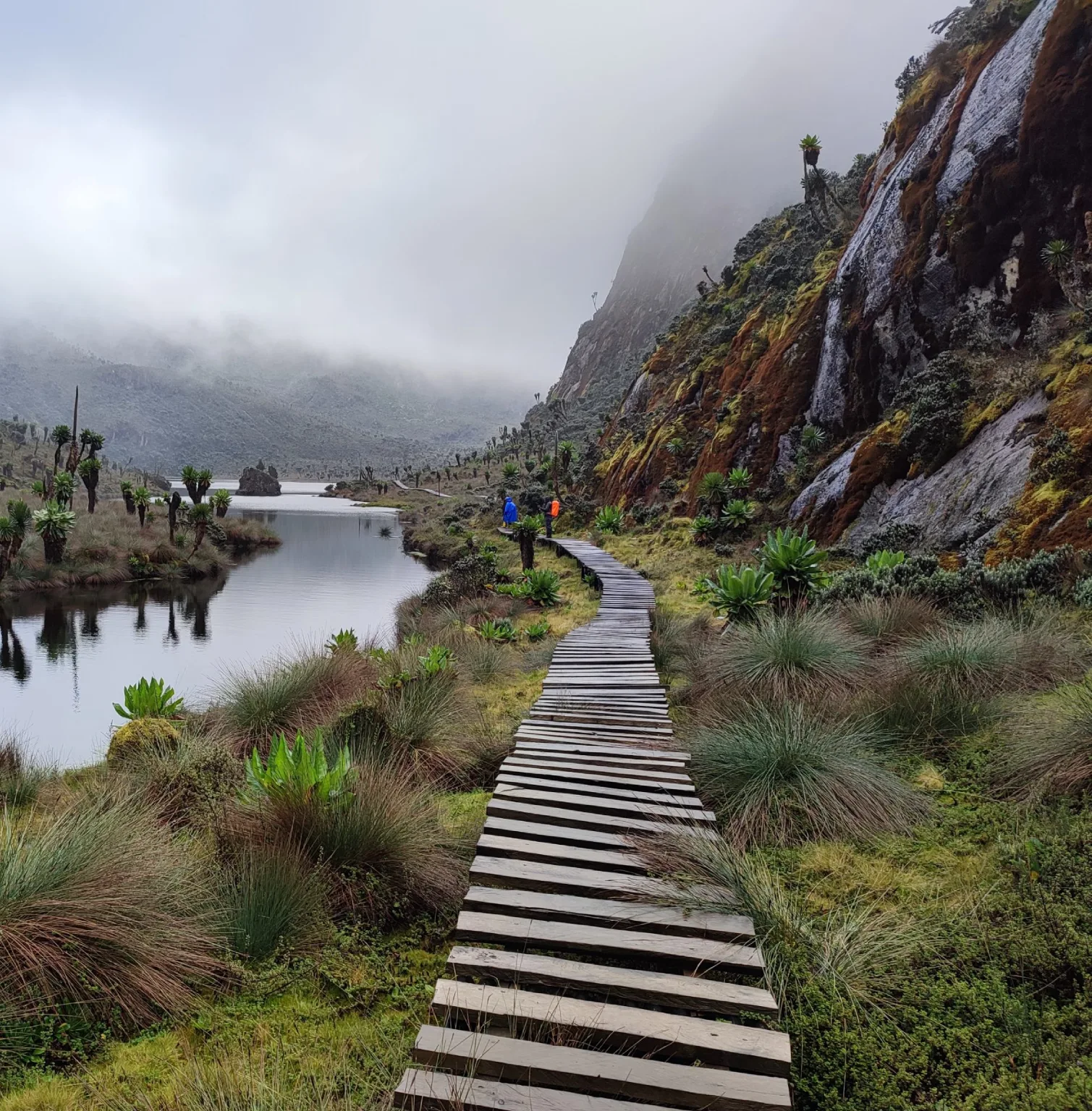 rwenzori-mountains-3