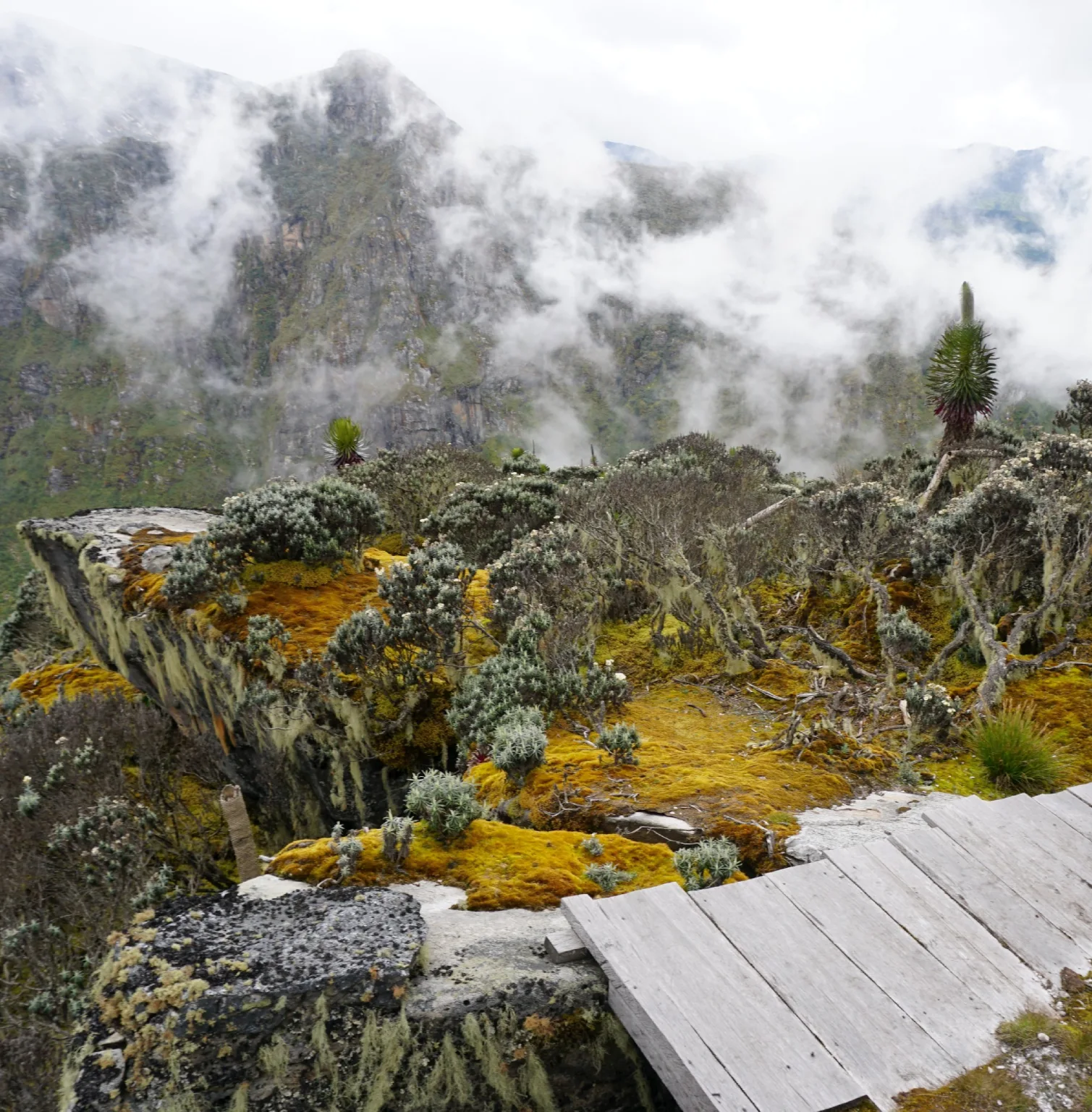 rwenzori-mountains-4