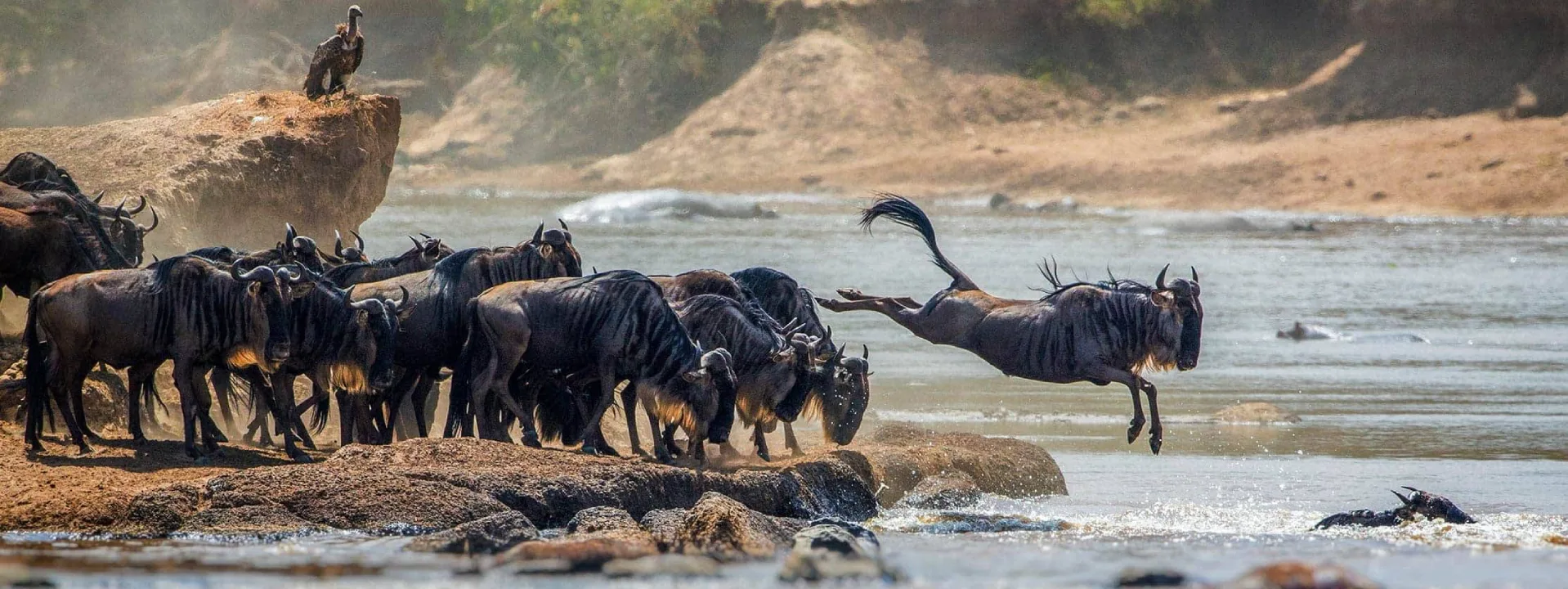 Stag & Hen Parties
