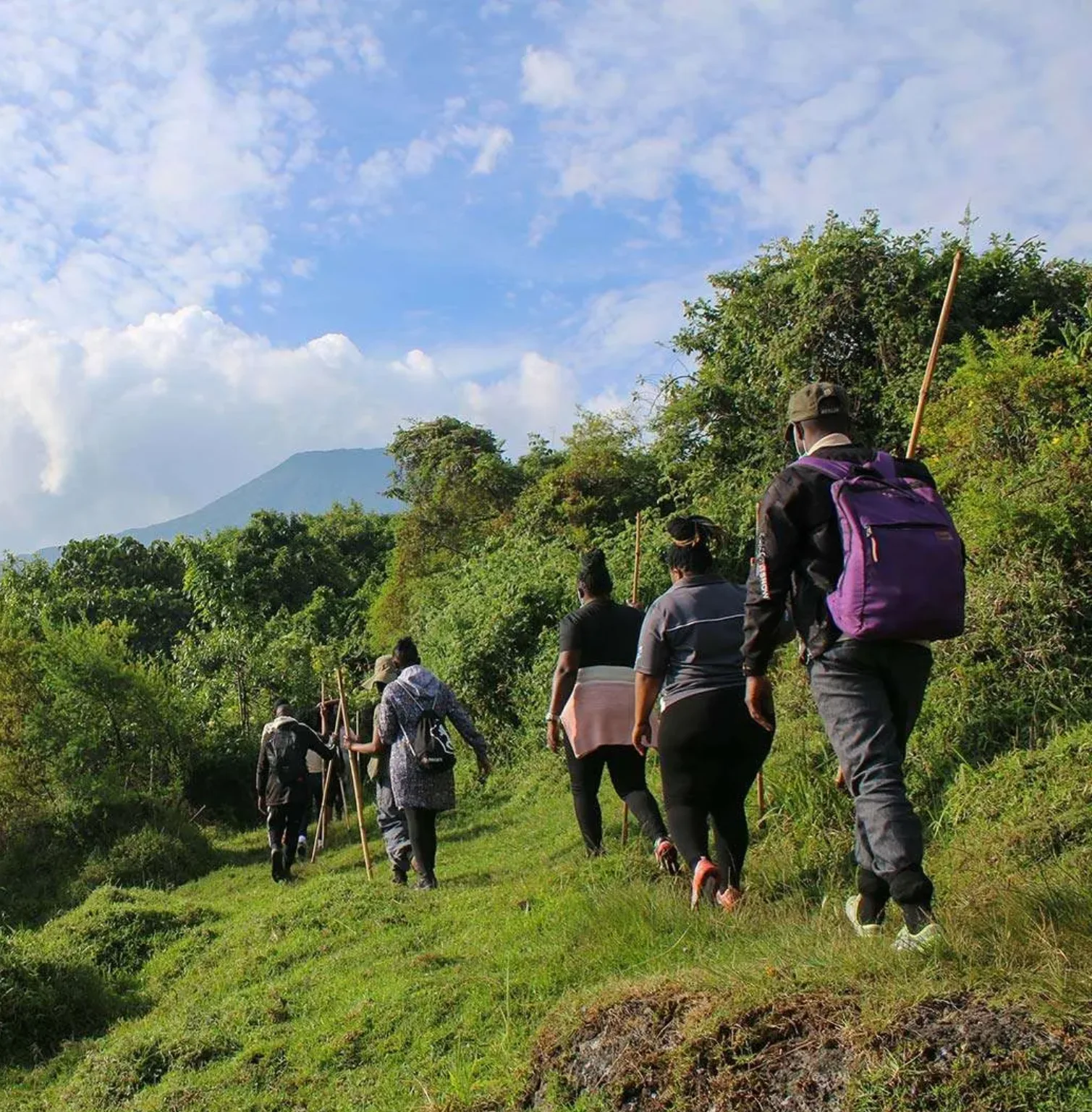 virunga-mountain-national-park-1