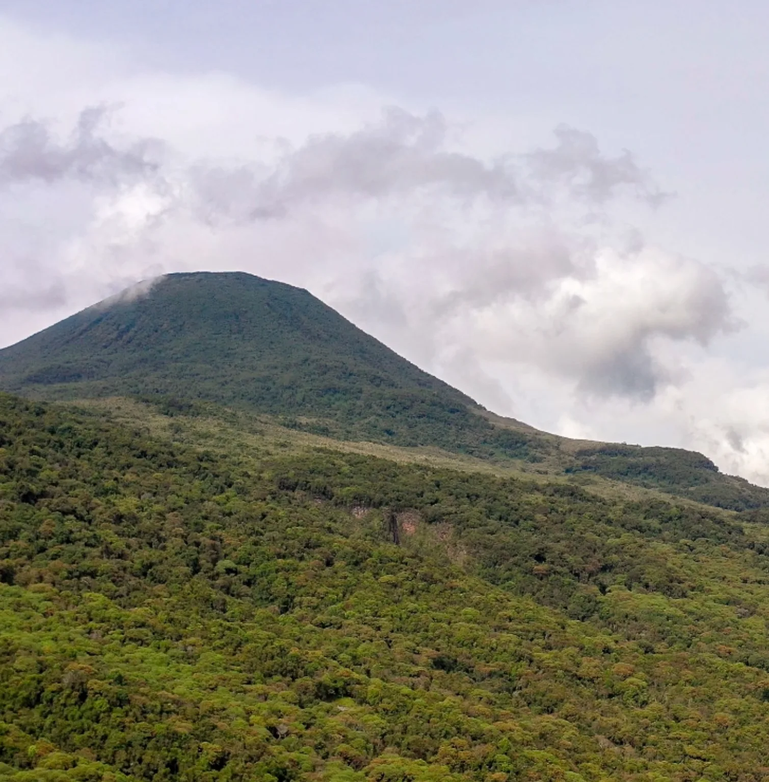 virunga-mountain-national-park-4