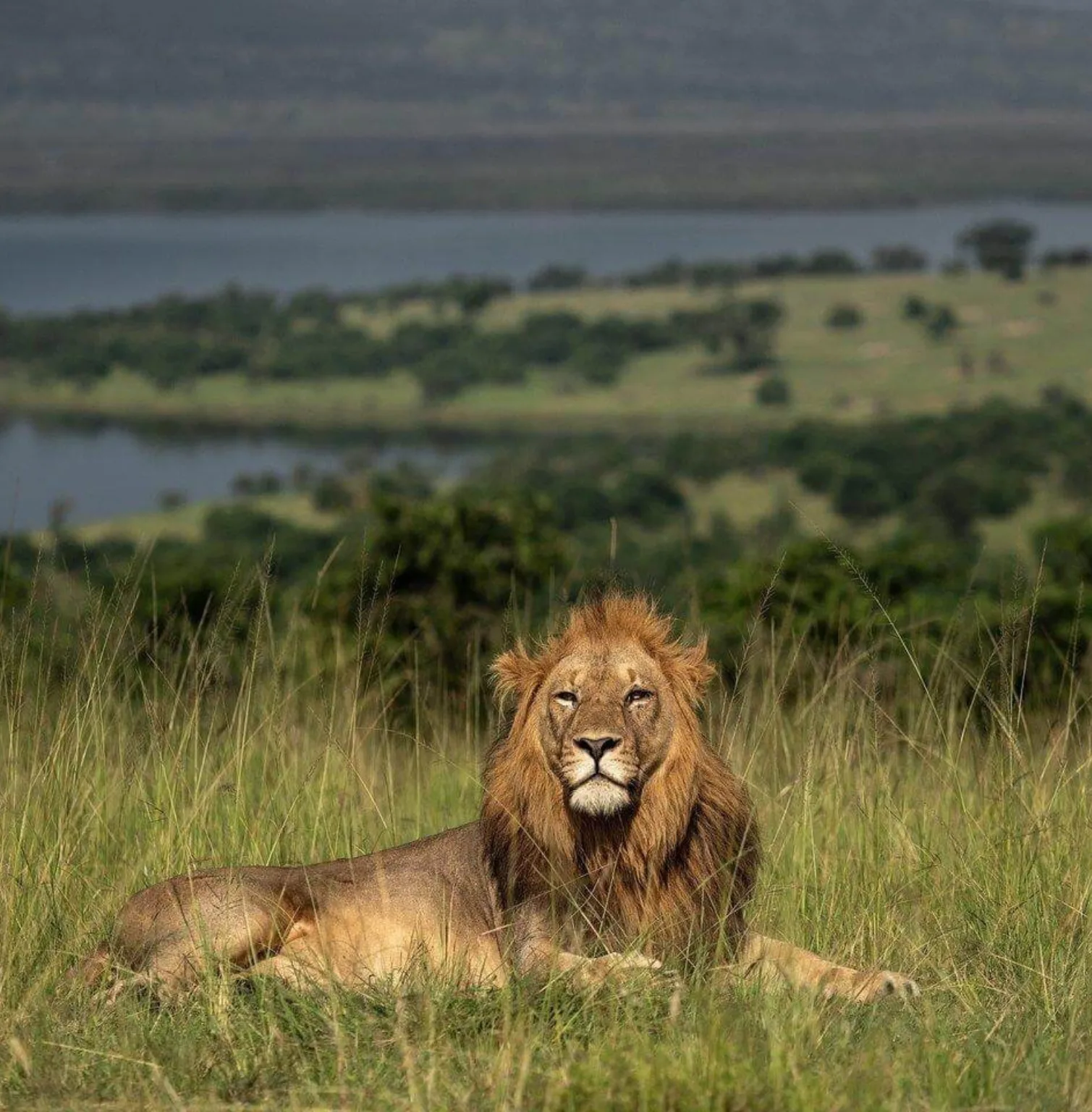 akagera-national-park-4