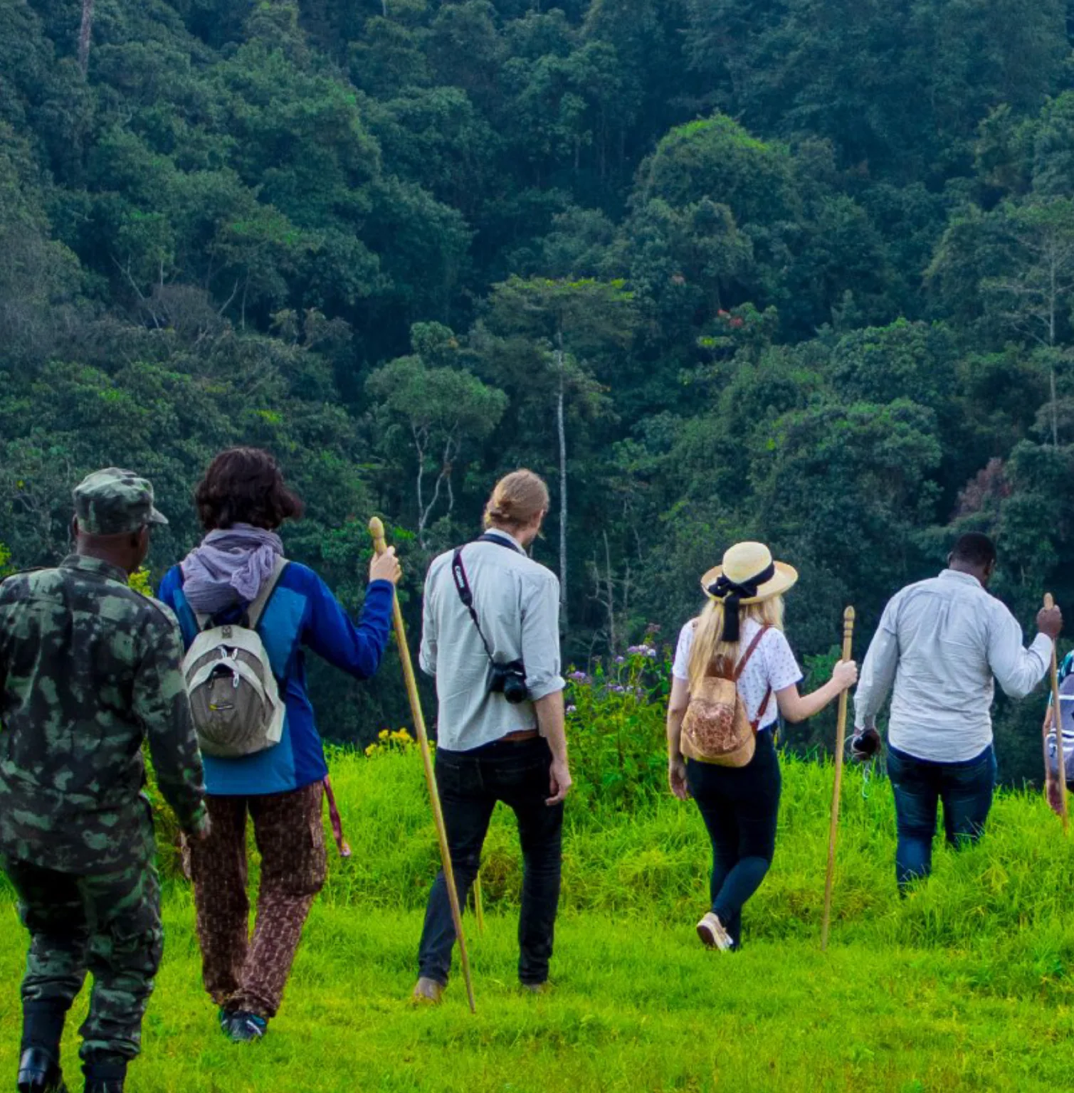 gishwati-mukura-national-park-3