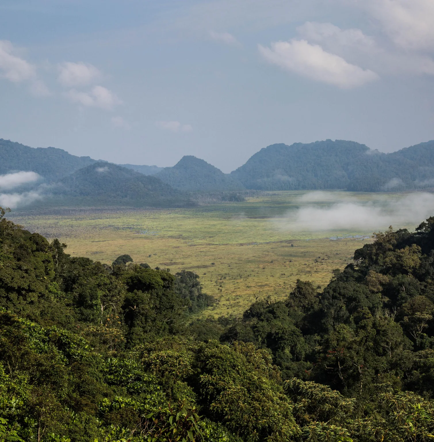 nyungwe-national-park-1