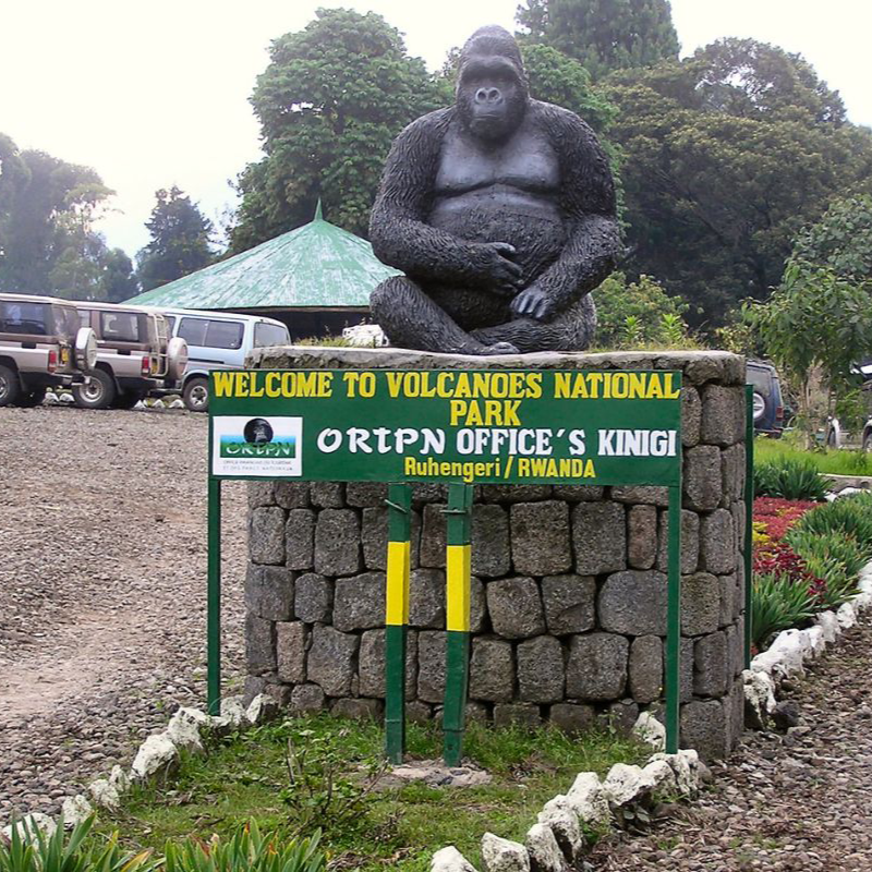 5-days-rwanda-gorilla-trekking-safari-tours-4