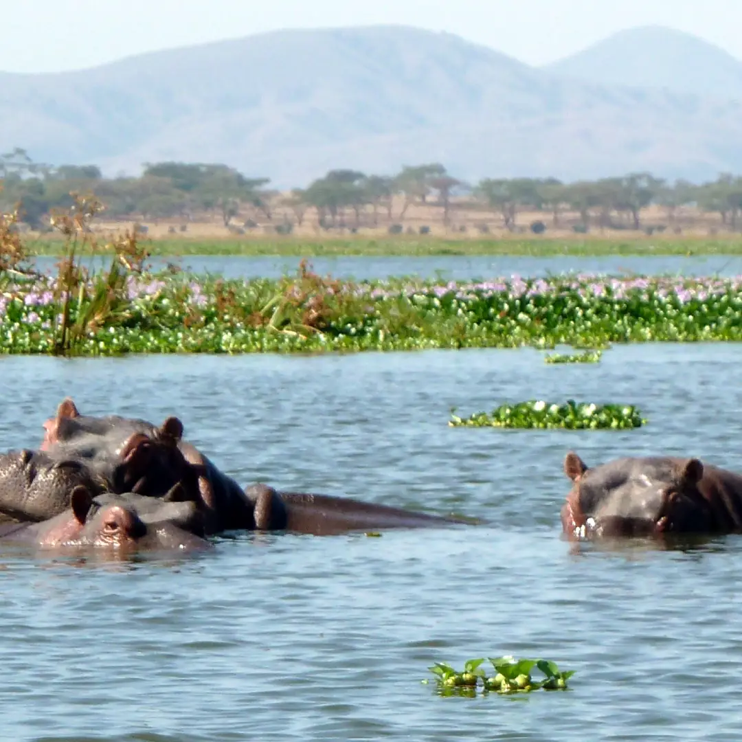 6-days-kenya-camping-safari1