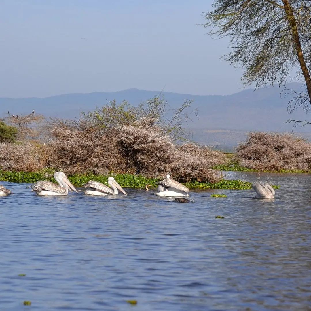 6-days-kenya-camping-safari2