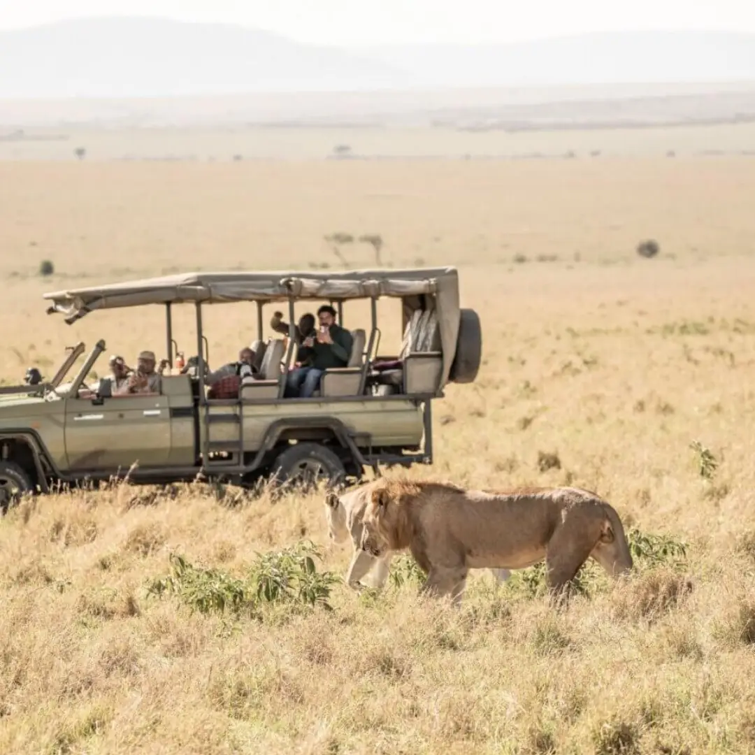 6-days-kenya-classic-safari3