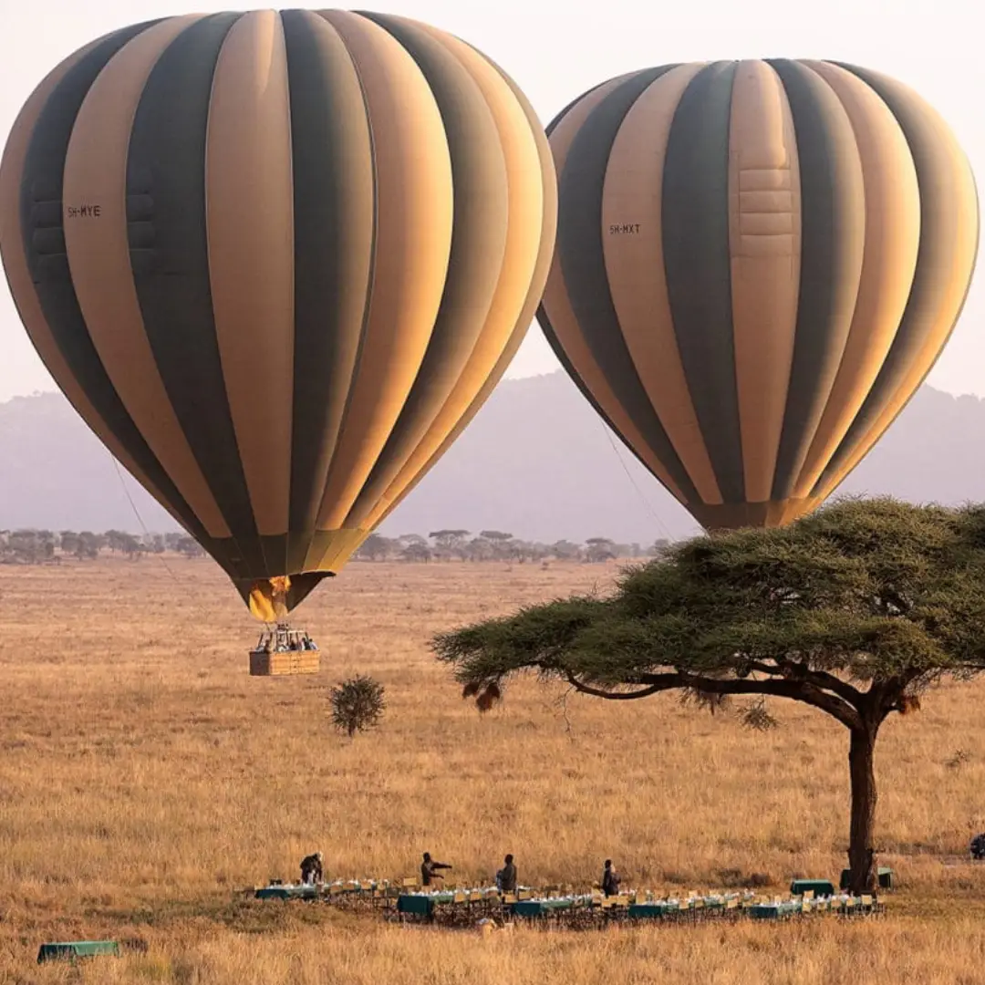 6-days-kenya-luxury-safari1