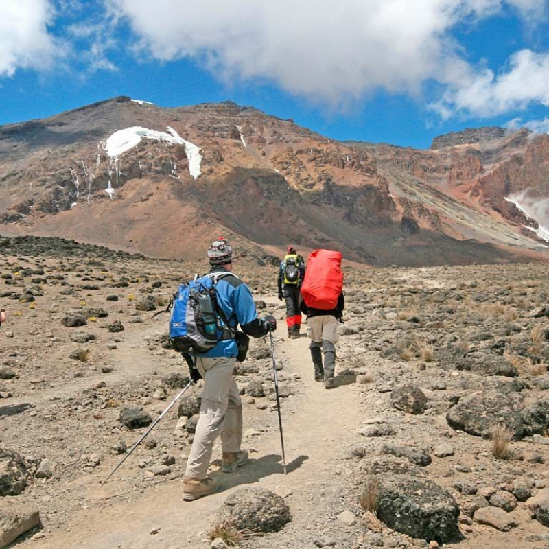 6-days-marangu-route-4