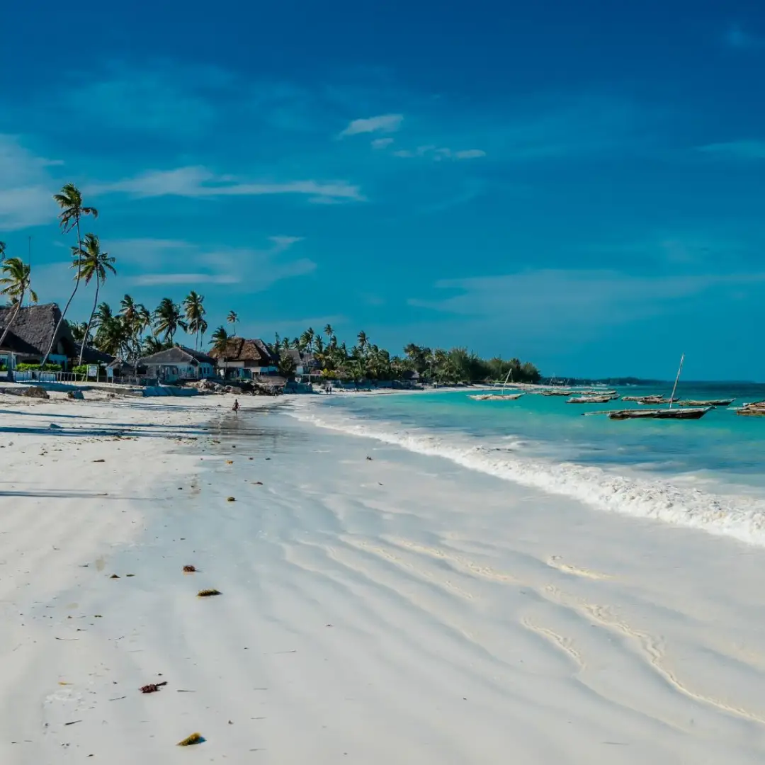 6-days-zanzibar-beach-tanzania-wildlife-safari1