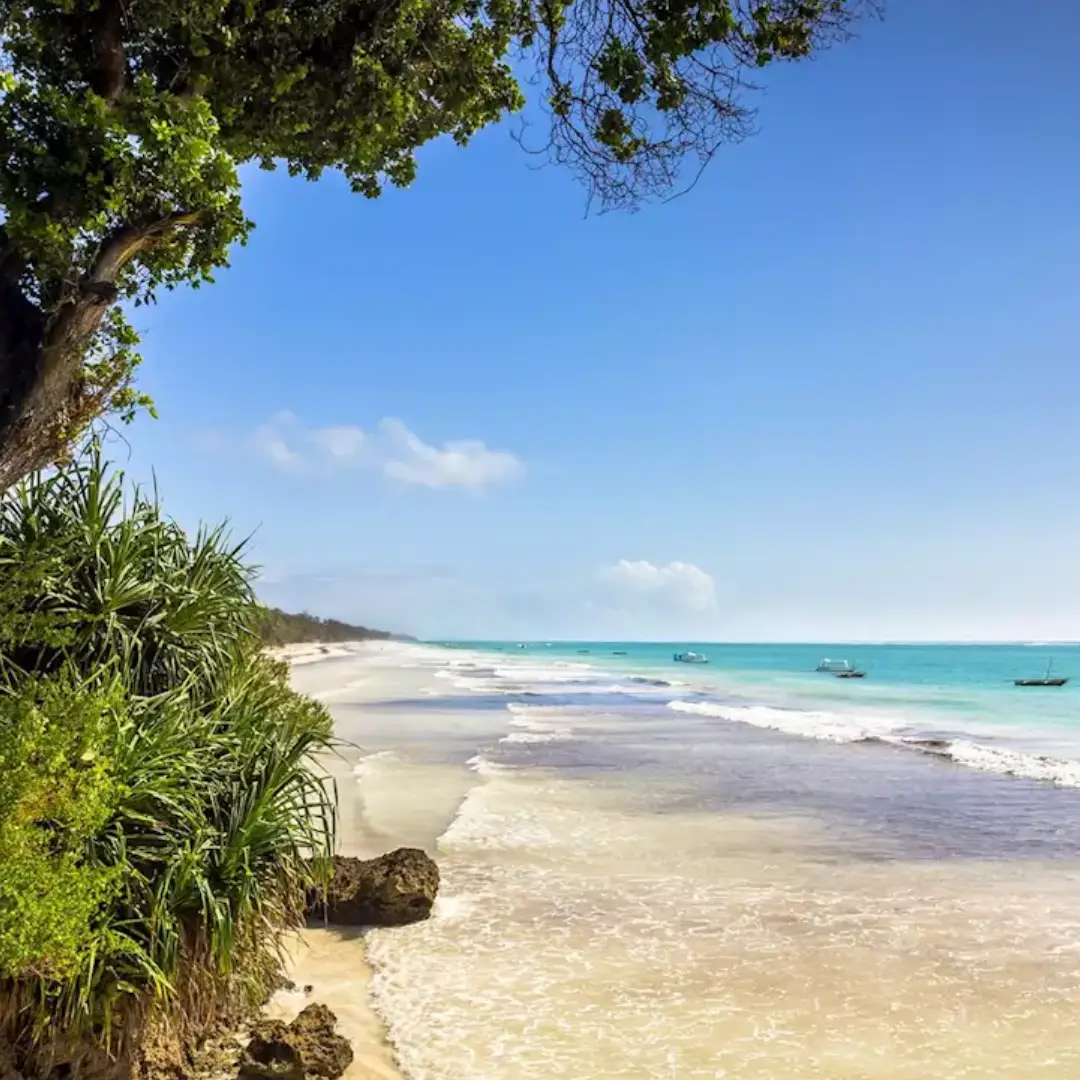 7-days-beach-and-safari-package-in-kenya1