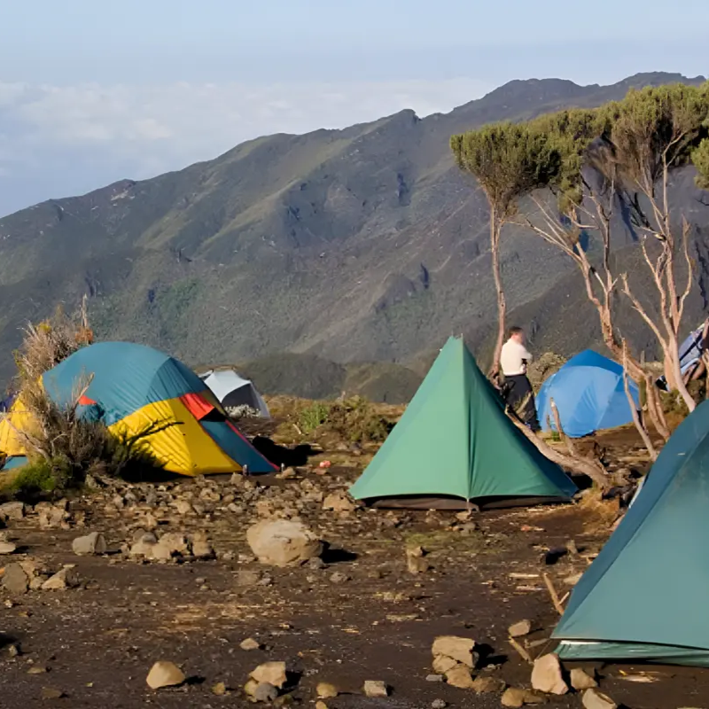 7-days-machame-route-1