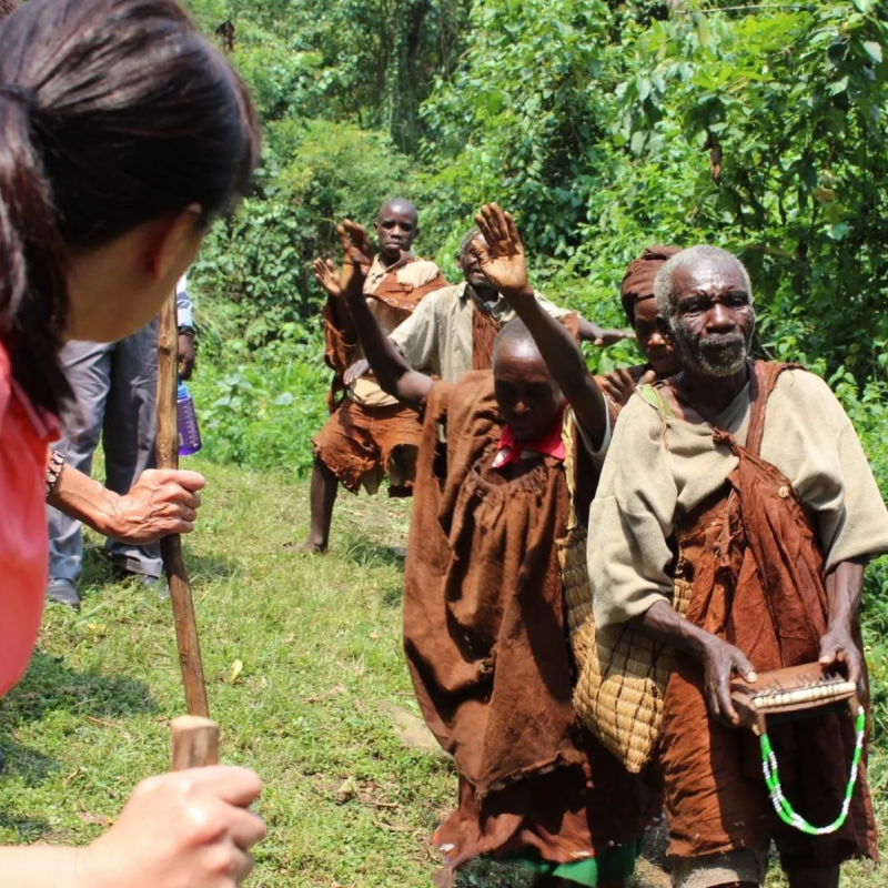 7-days-uganda-chimpanzee-tracking-safaris-4