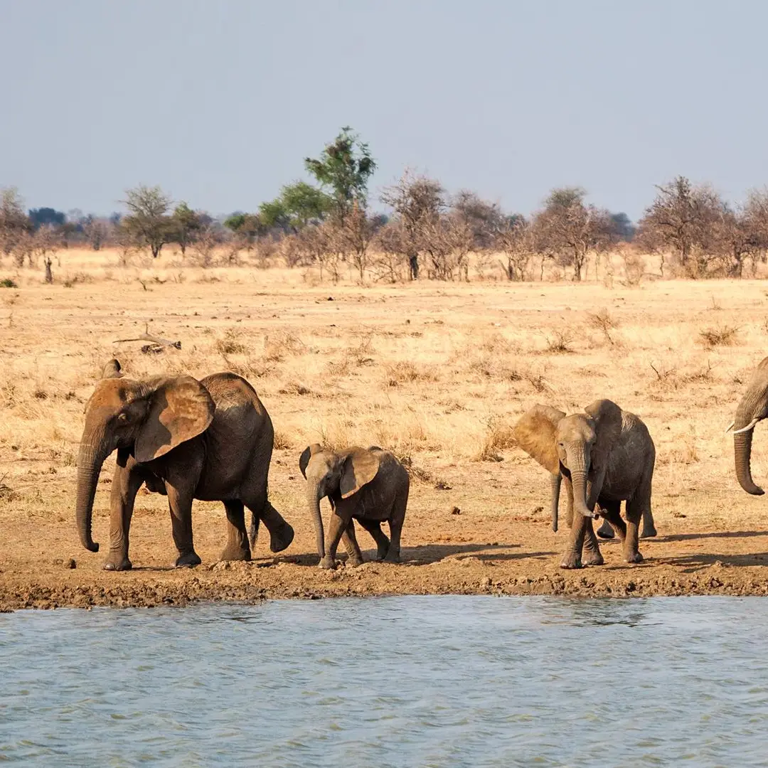 7-days-zanzibar-dar-es-salaam-mago-roto-forest-mikumi-safari-itinerary3