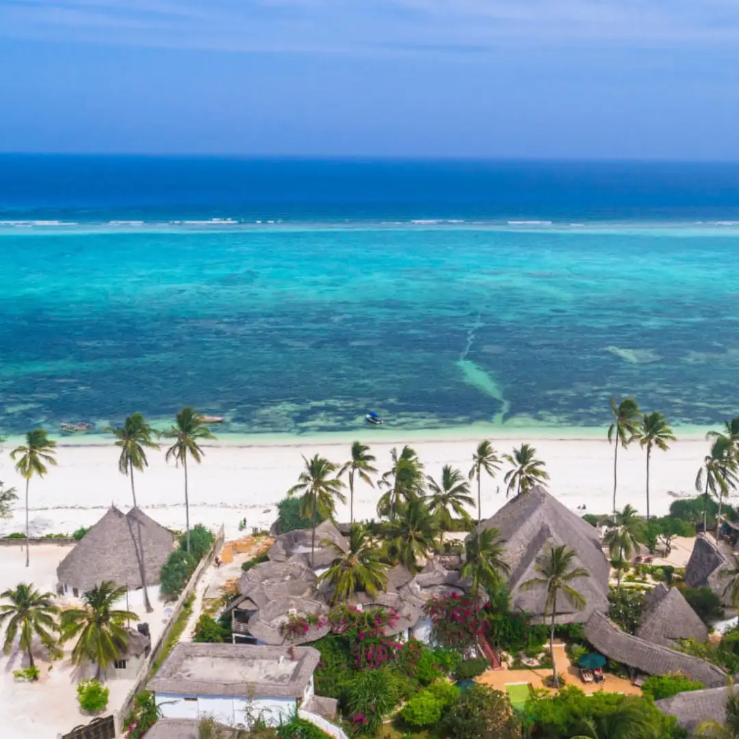 7-days-zanzibar-dar-es-salaam-mago-roto-forest-mikumi-safari-itinerary4
