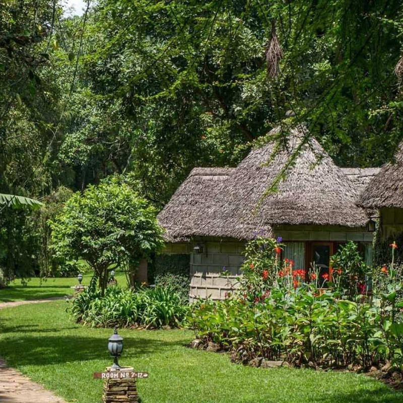 8-days-tanzania-lodge-safari-1