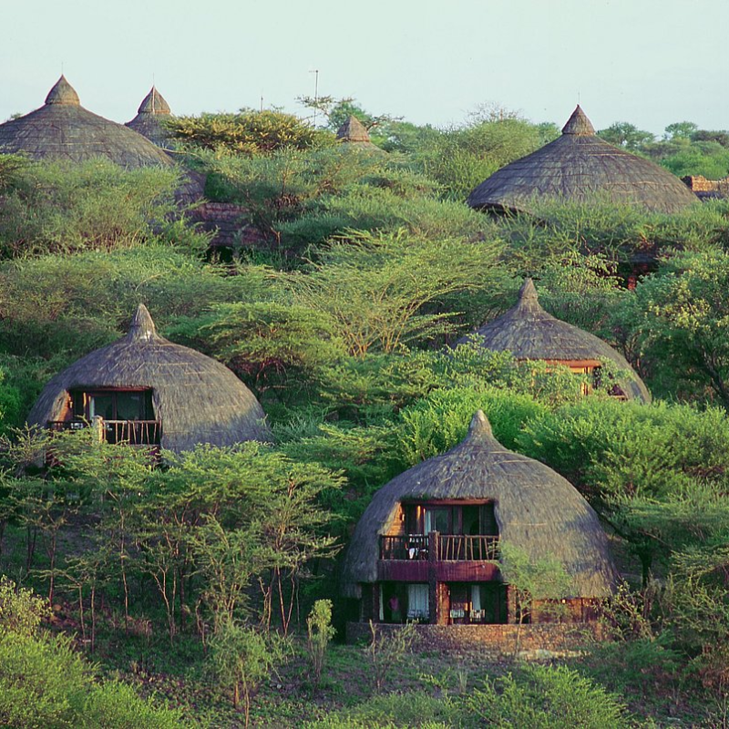 8-days-tanzania-lodge-safari-4