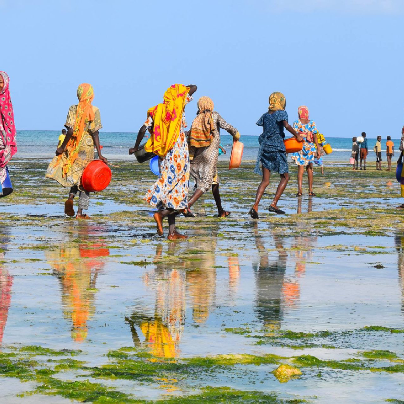 8-days-taste-of-pemba-island-2