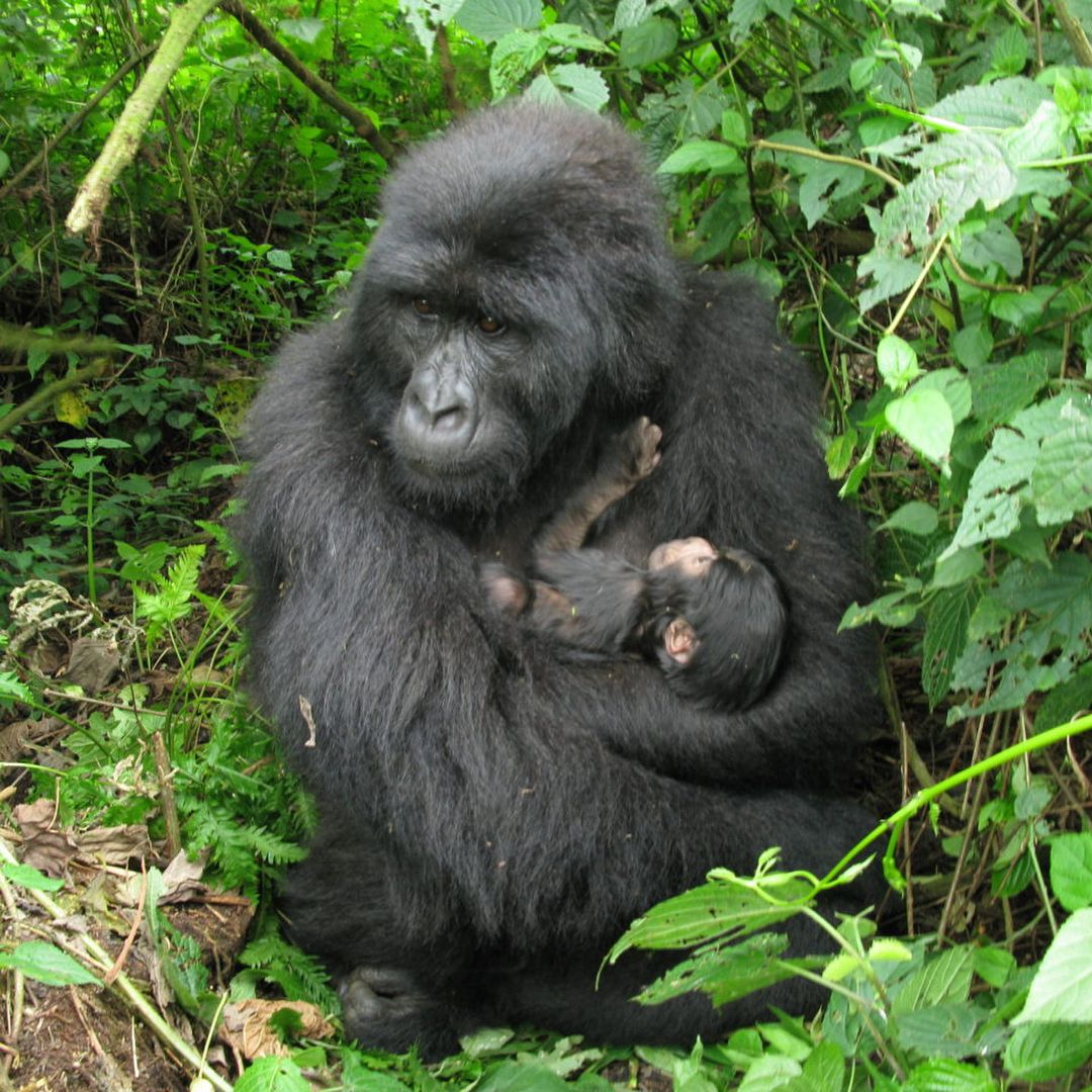 Uganda Destinations1