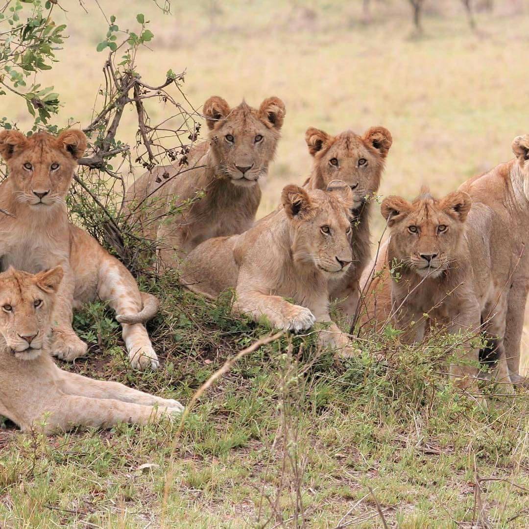 Uganda Destinations2