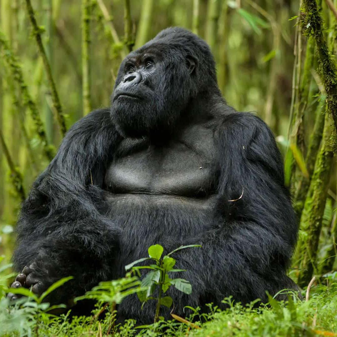 Uganda Destinations3
