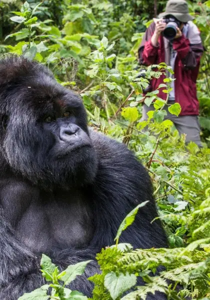 Uganda Destinations6 Uganda Destinations6