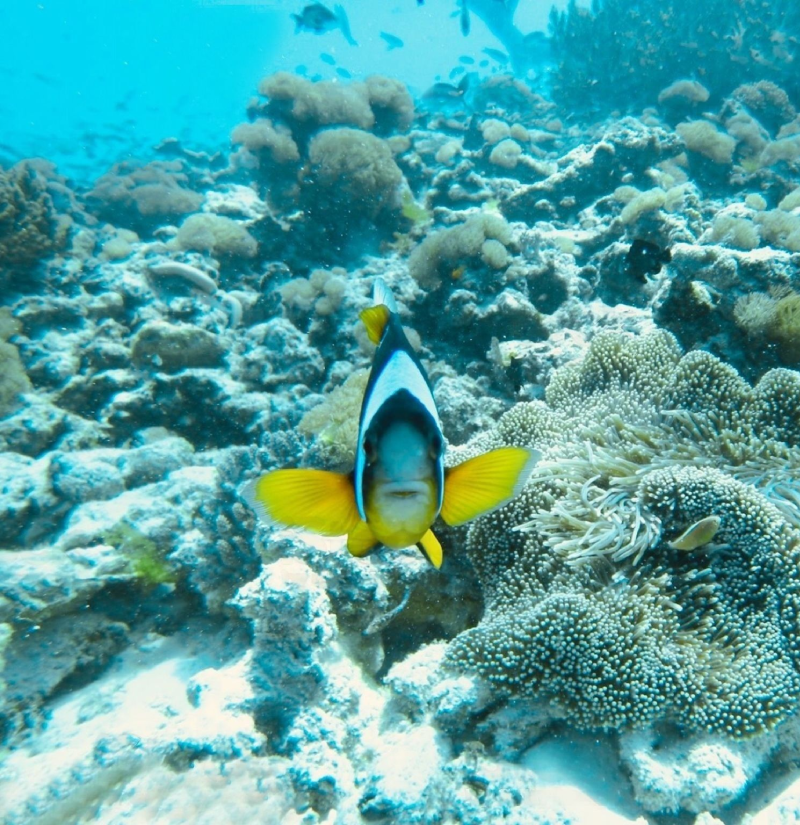 bwejuu-beach-2