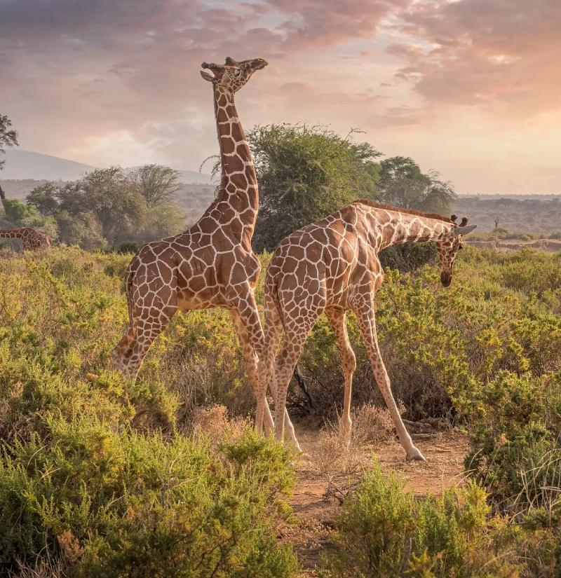 kenya-destinations-1