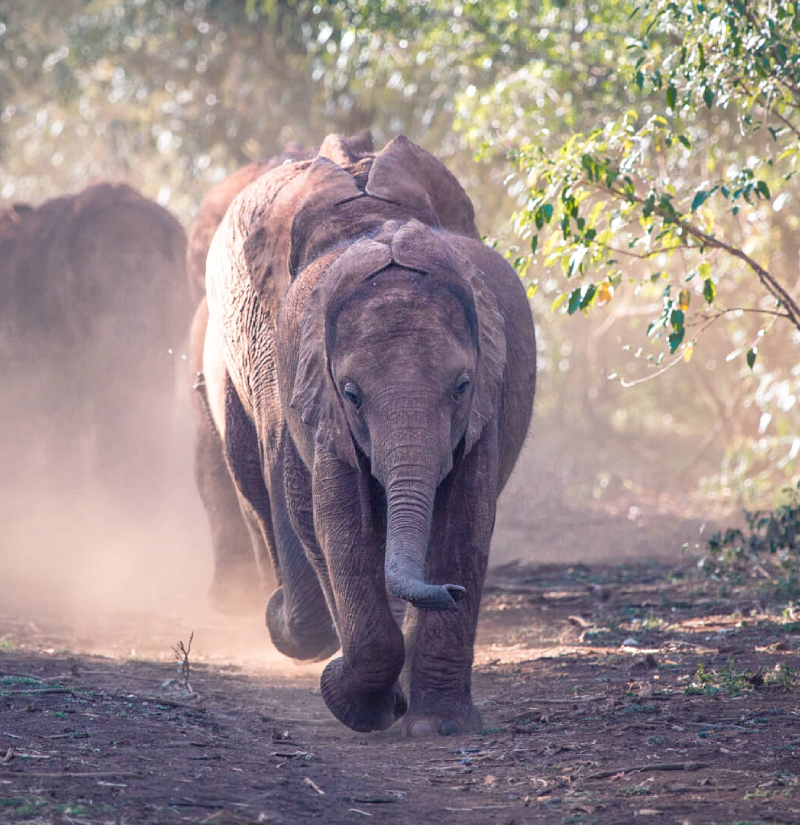 kenya-destinations-3