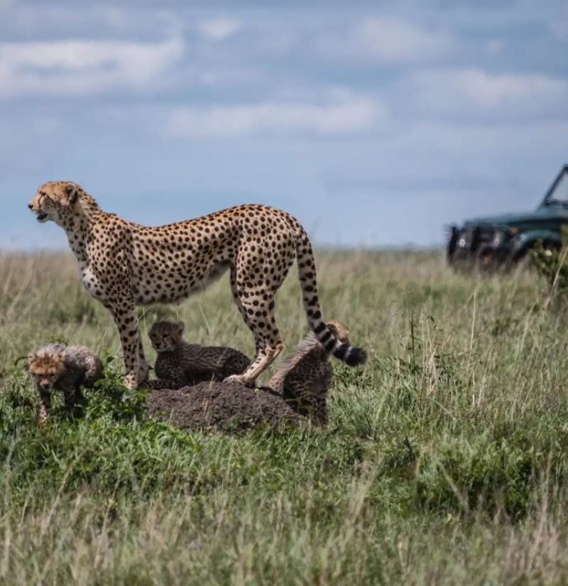 kenya-destinations-4