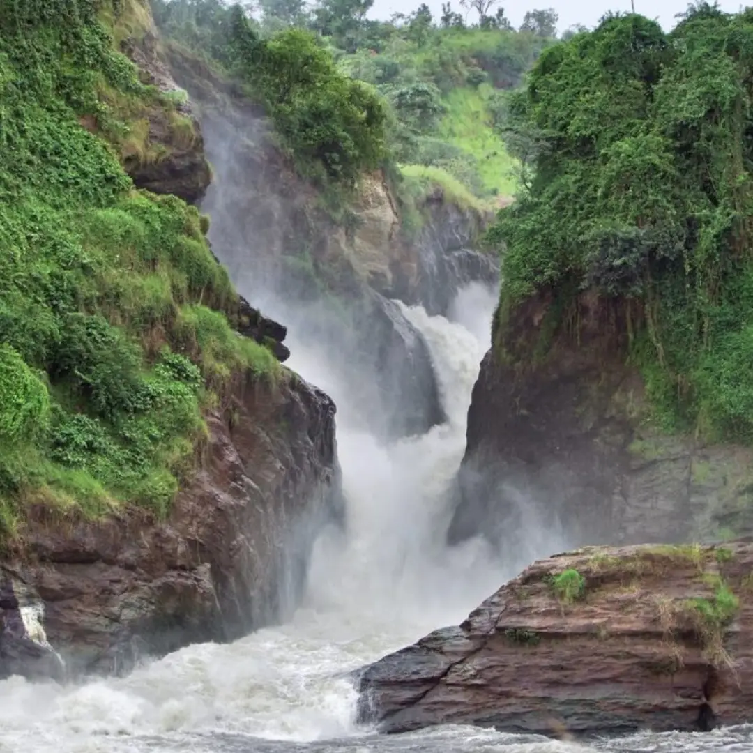 murchison-falls-national-park3